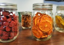Best Food Dehydrator Consumer Reports and Buyers Guide